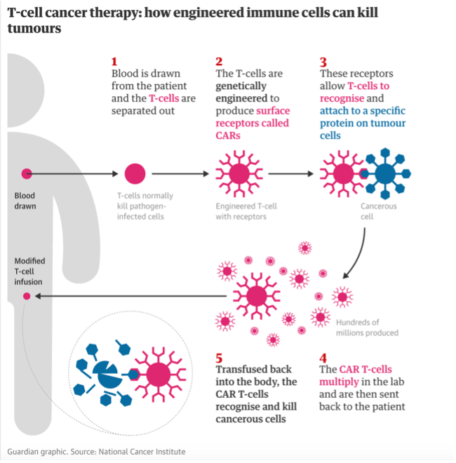 How do you decide?' Cancer patients die waiting for CAR-T therapy